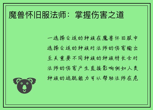 魔兽怀旧服法师：掌握伤害之道
